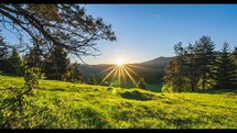 Sunrise in green spring nature with grassy meadow in forest landscape time-lapse 
