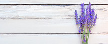 lavender on a white wood background 