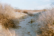 desert sands landscape 