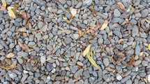 pebbles on the ground 