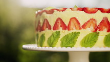 Beautiful Homemade Strawberry Fraisier Cake Rotates On Nature Background. 