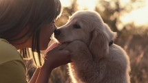 Baby golden retriever puppy touching nose of its owner with love. Happy dog spending good time on nature countryside background. Cute doggy. Hunting breed. High quality 4k footage