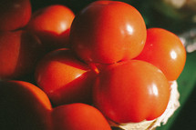 red tomatoes 