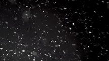 Snow falling over black background.
