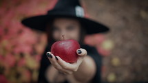 Beautiful witch in cap, long dress, mantle on autumn forest background. Halloween concept, cosplay dressing up. Slow motion.