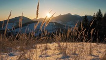 Winter sunrise behind mountains and tall grass.