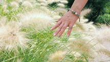 Woman's hand with beautiful manicure, bracelet and rings is stroked pampas fluffy grass or bush in the botanical garden. Girl loves nature. Close up view.