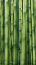 Green natural bamboo plant background, 3d rendering.
