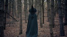 Woman As Black Witch Walks Between Trees In Autumn Forest.