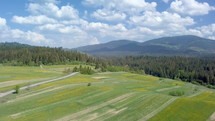 Aerial green landscape in sunny spring day
