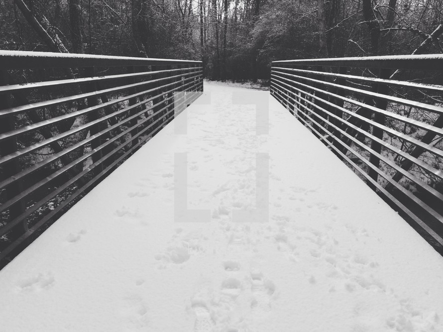snow covered walking bridge 
