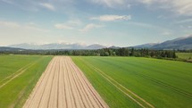 Aerial view of plowed field in green rural country in fresh spring nature farm farmland
