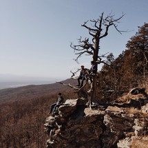 Men sitting in a dormant tree at the edge of a cliff.