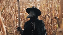  Plague doctor gothic woman with sharp scythe standing in autumn thickets of corn
