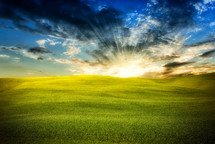 sunrise over a green meadow 