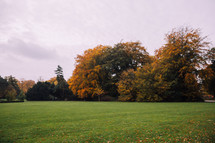 fall trees around a park of green grass 