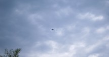 plane flying in the sky 
