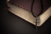 Bible and cross necklace 