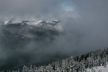fog over a winter pine forest and mountains 