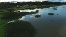 drone shot over a pond 