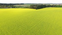 green field 