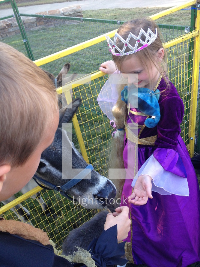 Children at a petting zoo during a fall festival 