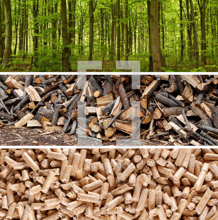 Steps of production wood pellets