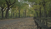 Manhattan, New York City, USA - Fall Foliage Colors at Central Park - The Mall and Literary Walk