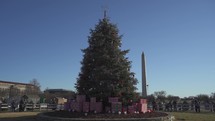 Washington DC, USA - National Christmas Tree in front of White House with Washington Monument on Background