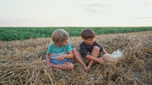 Little children boys with golden retriever puppy on wonderland wheat field, nature background. Kids friends playing with dog. Happy lovely pet, authentic moments