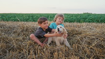 Babies twins brothers with golden retriever puppy on wonderland meadow. Amazing sunset light. Kids stroking doggy. Happy friendly pet, cinematic unforgettable moments. High quality 4k 