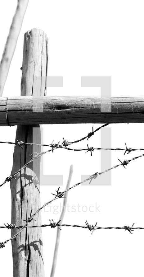 barbed wire on a wooden post 