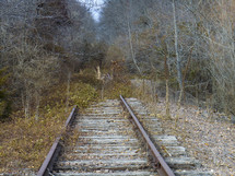 Railroad tracks going nowhere