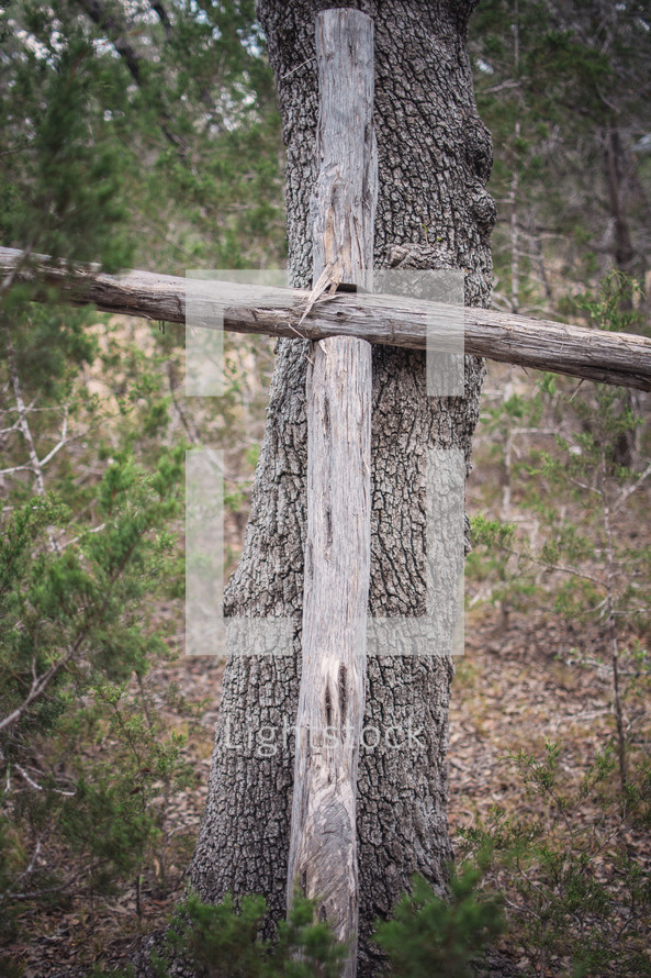 wood cross against a tree 