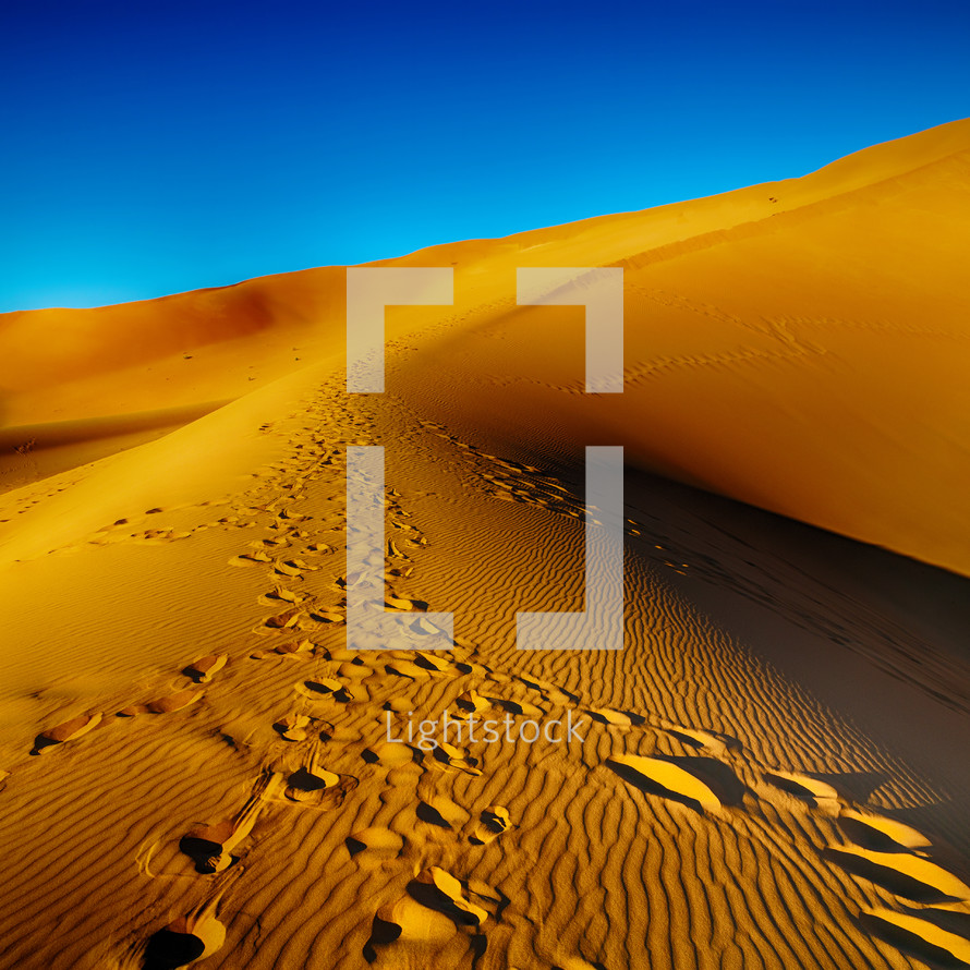 tracks on desert sand dunes 