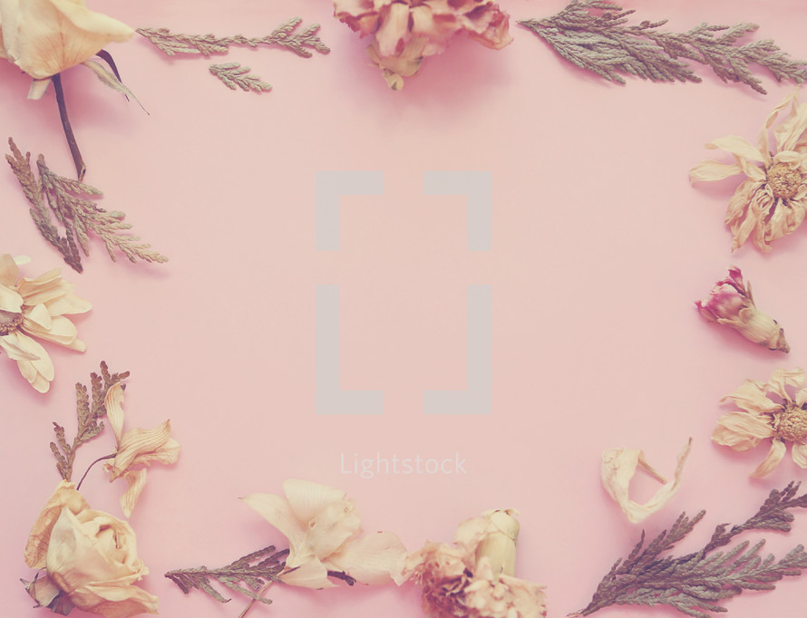 Dried flowers form a border on pink paper