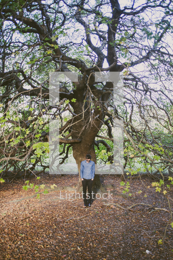 tree with wavy branches and a man standing under it 