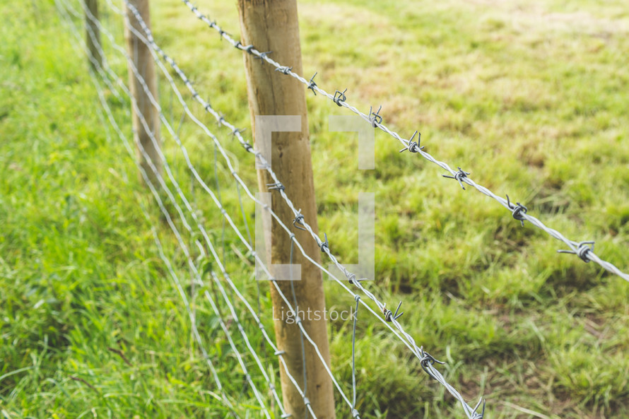 a barbed wire fence 