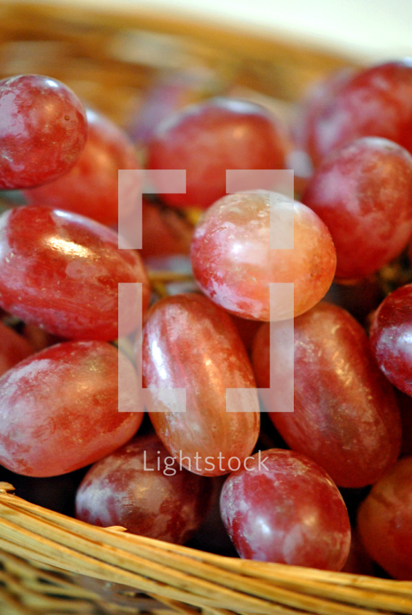 Basket of grapes; closeup