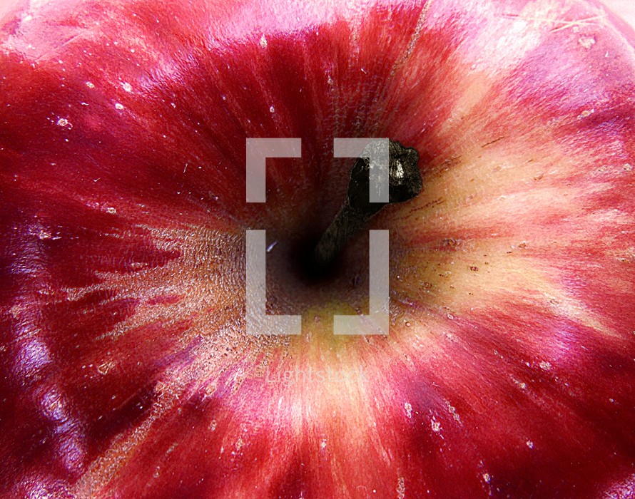 Close-up of the top of a red apple.