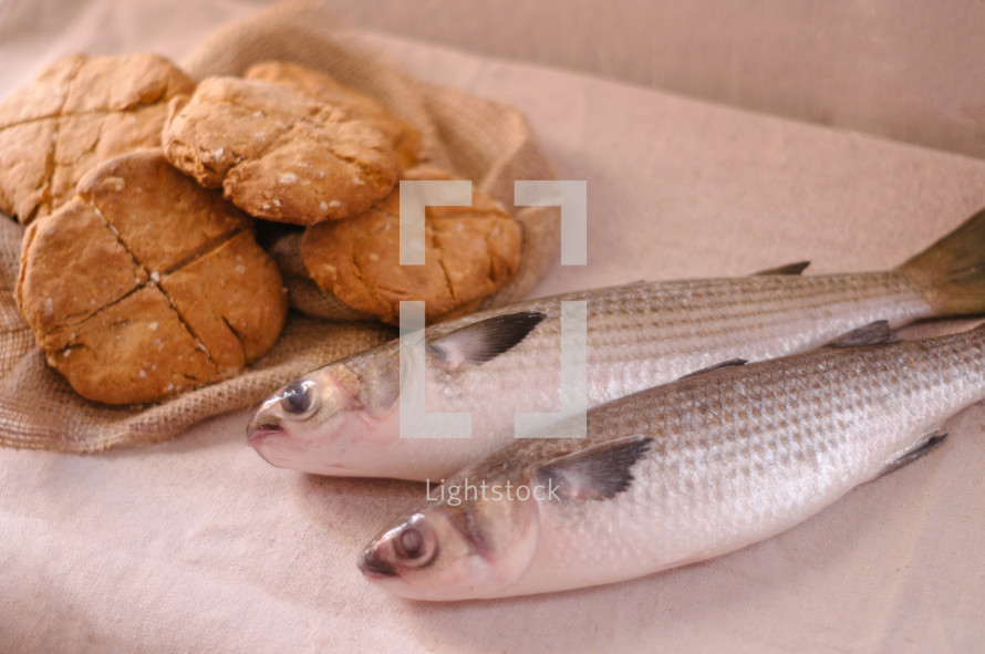 Bread and fish. 