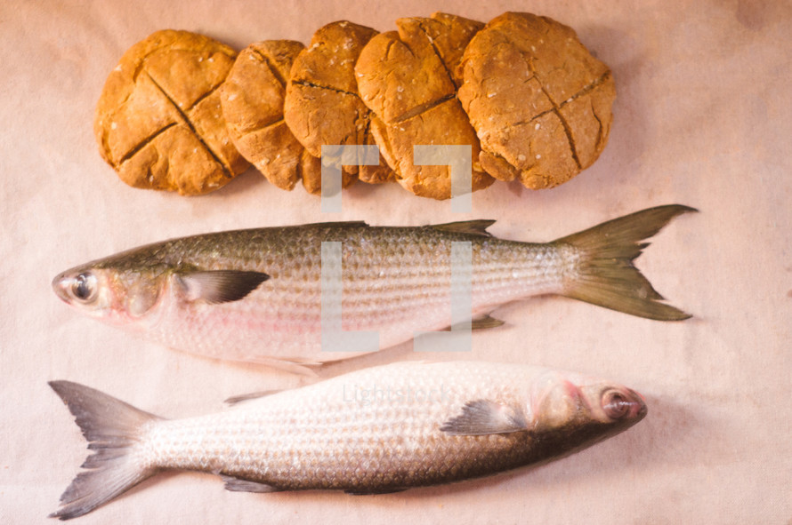Bread and fish  