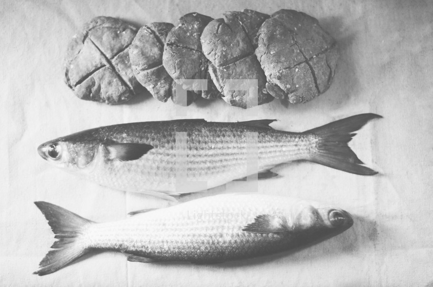 bread and fish