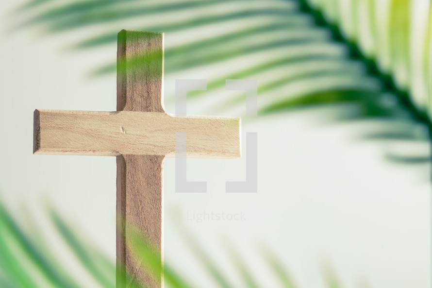 Wooden cross and palm branch