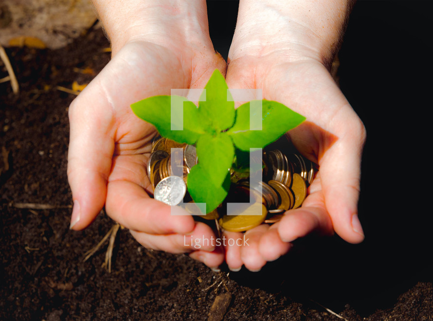 cupped hands holding coins and a sprouting plant 