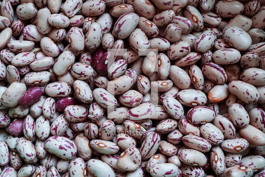 spanish red beans in the market