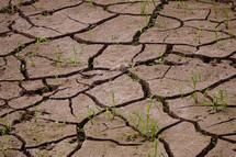 dry ground in the nature, 