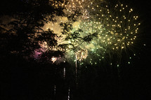 fireworks bursting over the trees 
