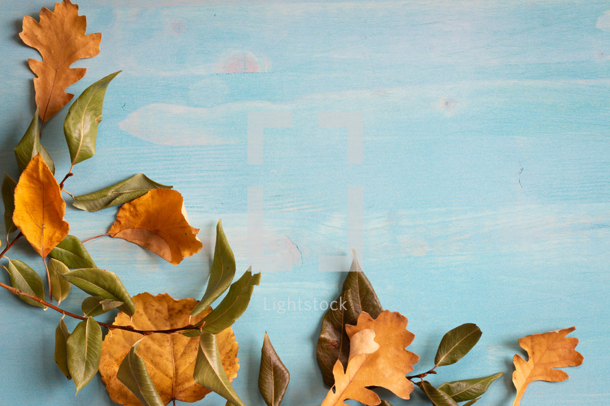 fall leaves on a blue wood background 