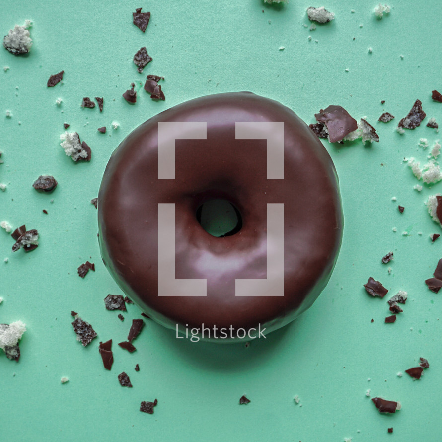 tasty chocolate donut for brunch